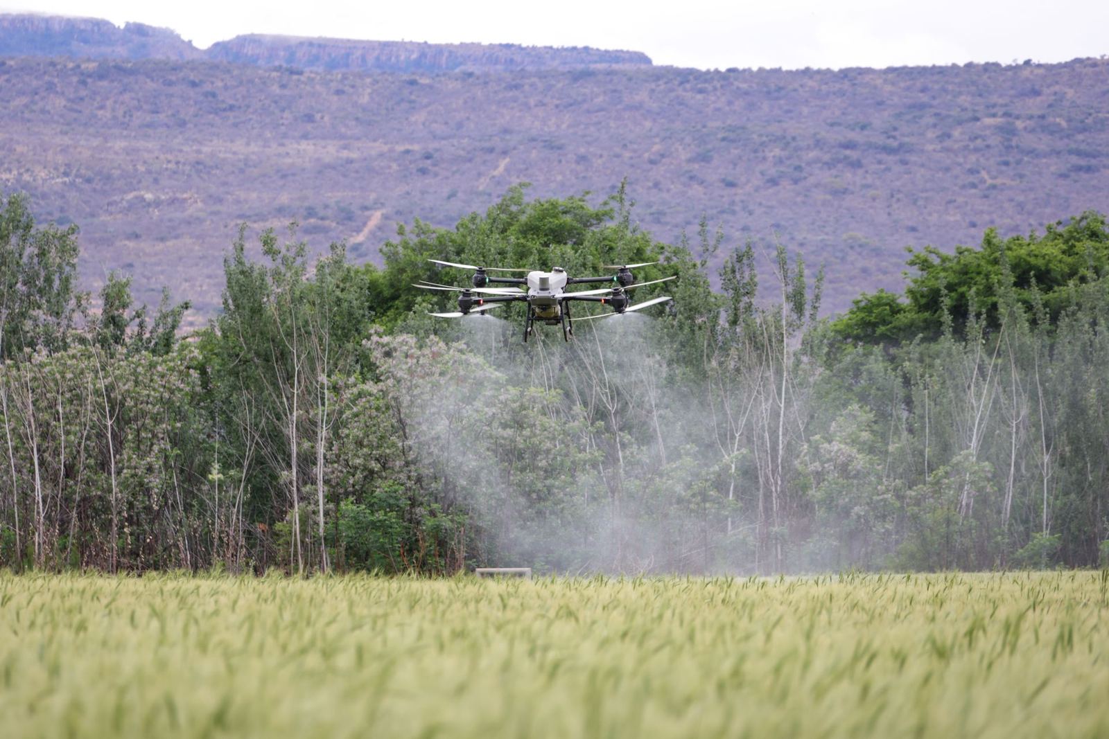 Drones in Agricultural Spraying: Cost, Yield and Points of Attention