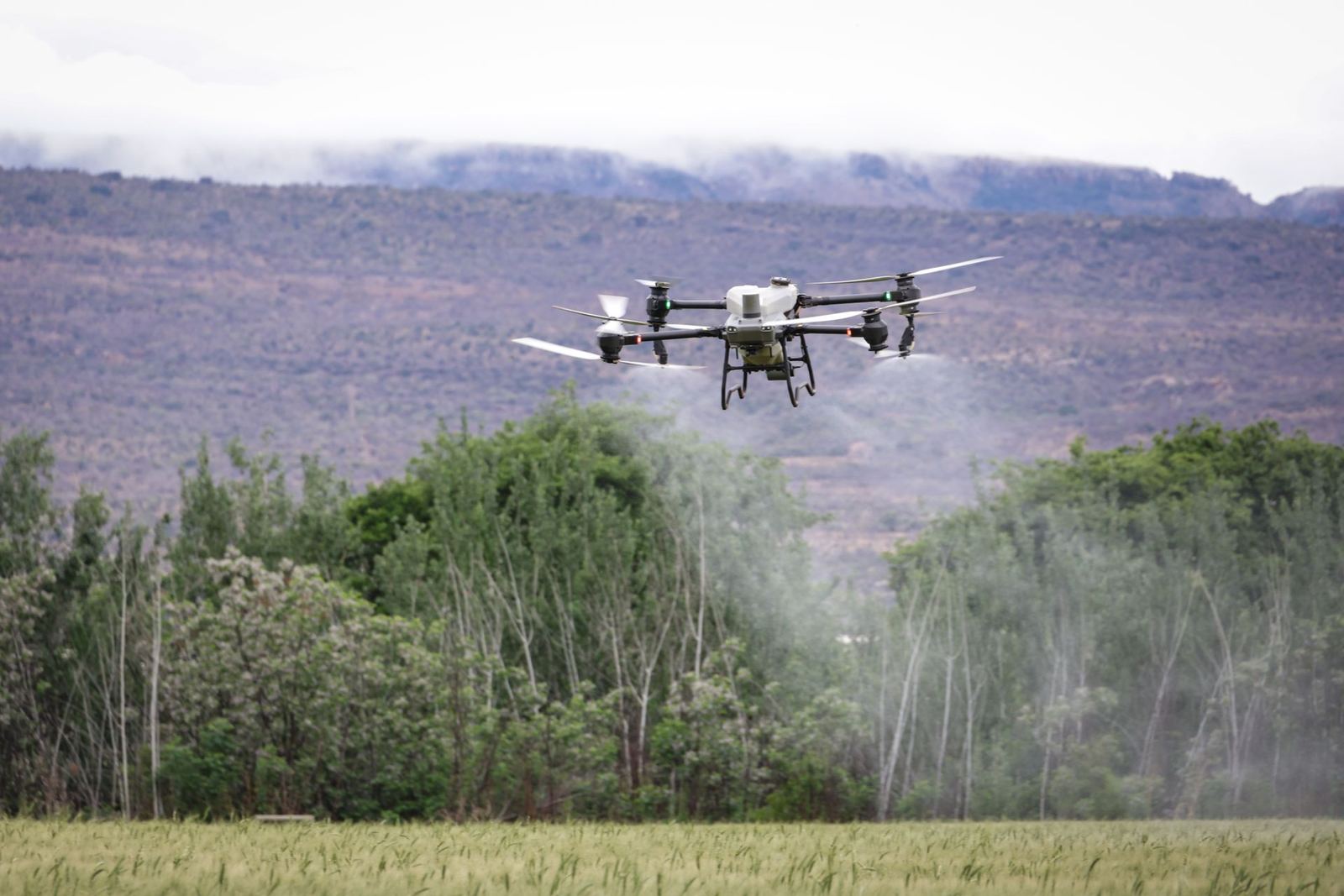 4,800-decare cotton spraying