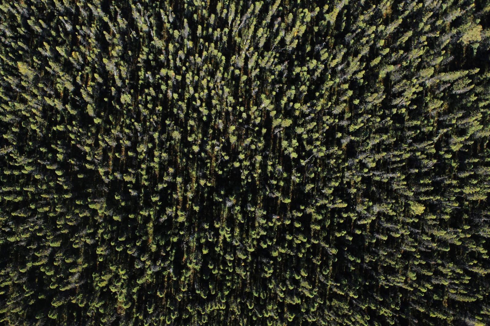 LiDAR & 3D Modelling